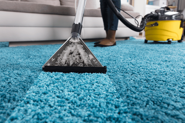 A close-up of a professional carpet cleaning process using a vacuum and cleaning tool on a bright blue carpet.