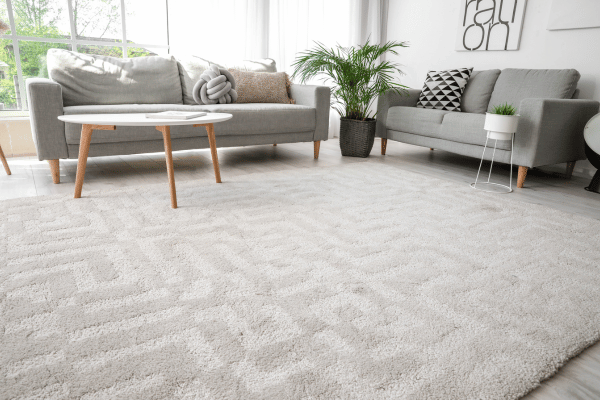 A cozy living room with a light beige carpet and modern furniture, creating a warm and inviting ambiance.