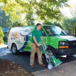 The 10 Best Carpet Cleaning Services in Dallas for Pet Stains post image