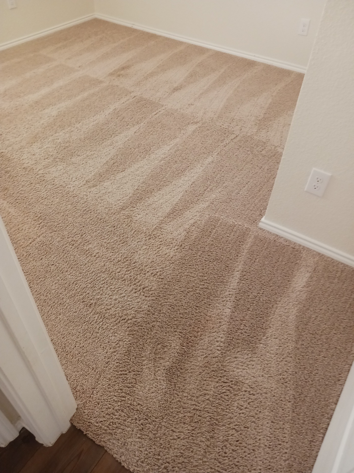 Carpet Cleaning Dallas Expert Carpet Cleaners Dallas