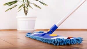 a person cleaning wooden floor with blue mop near indoor plant pot