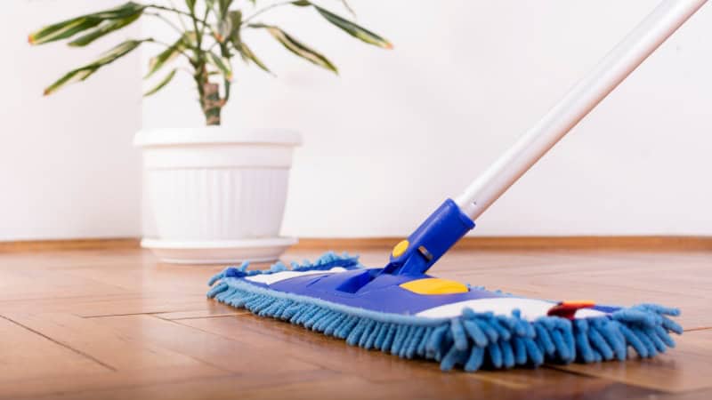 a person cleaning wooden floor with blue mop near indoor plant pot