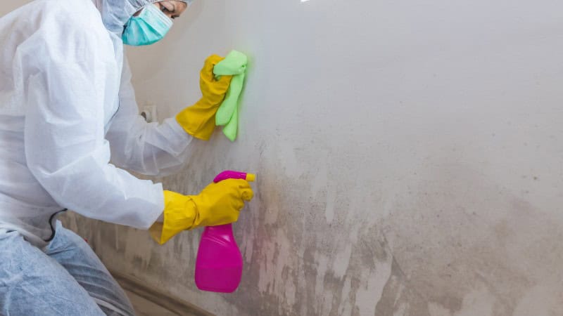 Person in protective suit spraying and wiping moldy wall.
