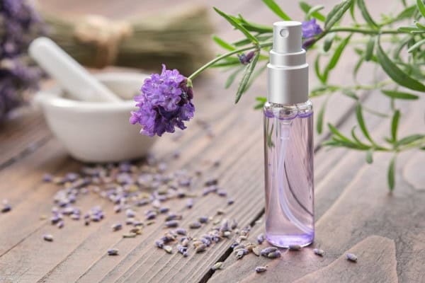 Lavender spray bottle and fresh lavender flowers on wooden table.