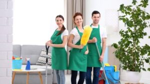 Cleaning Service Team Working in Living Room